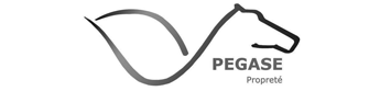 Pegase